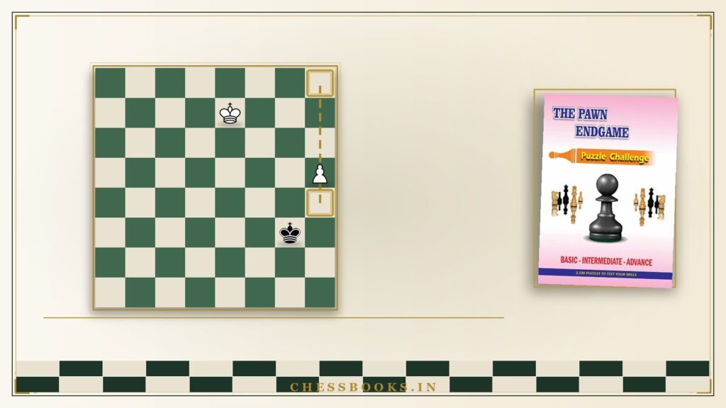 Passed pawn and the golden square of the pawn endgame rule