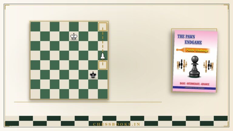 Passed pawn and the golden square of the pawn endgame rule