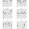The Pawn Endgame Puzzle Challenge: 2,250 Puzzles to Test Your Skills