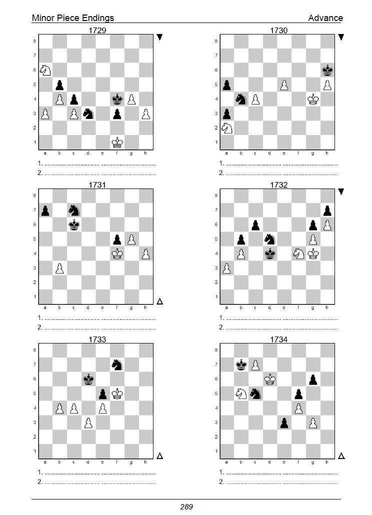 The Minor Piece Endgame Puzzle Challenge: 2,250 Puzzles to Test Your Skills