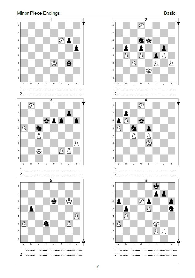 The Minor Piece Endgame Puzzle Challenge: 2,250 Puzzles to Test Your Skills